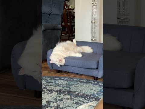 Airing the beans out