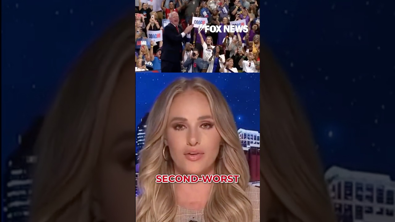 Tomi Lahren trolls Tim Walz with new career path idea #shorts #timwalz #politics #foxnews