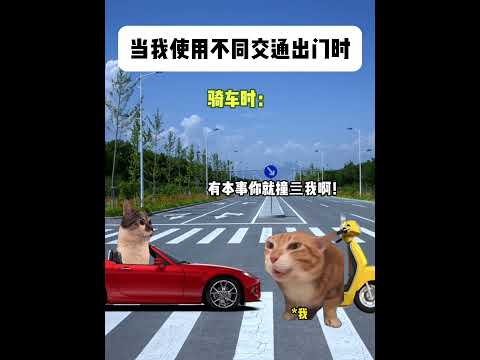 猫の動画サムネイル - 当我使用不同交通出门时#有趣 #猫meme #猫meme剧场 #猫meme小剧场 #内容过于真实  #故事 #貓 #猫猫meme小剧场 #喵不可言