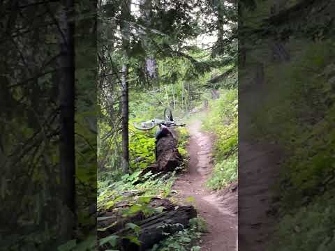 Rider Frontflips Over Log, BAD Crash!🌲