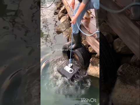 Secret Safe Found Underwater! 😲💸~mini wood toly woodworking art skill wood#hand craftshort#shorts