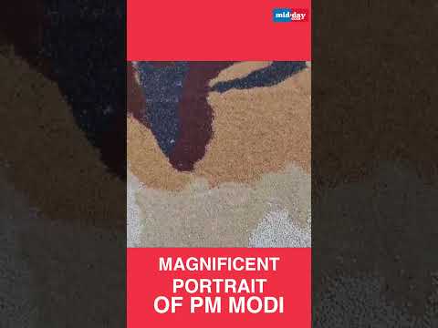 13 year old student makes portrait of PM Modi using grains  lentils  short 583 views  play Short