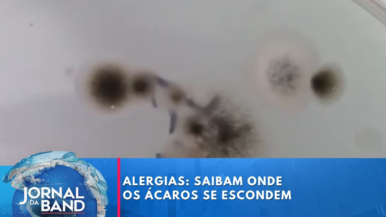Alergias saibam onde os ácaros se escondem