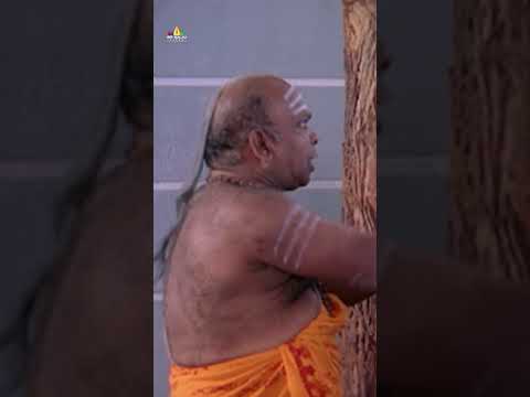 అరేయ్! మామ Happy Holi రా ! #modaticinema | #sunil | #navdeep | #ytshorts | #sribalajivideo