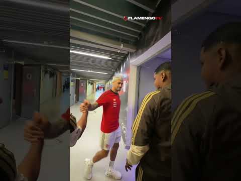 image para ilustrar o artigo