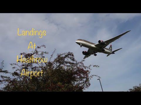 Landings at Heathrow Airport: Part 3 (7th October 2023)