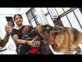 Dog Helps To Family In Doing Household Chores | Khammam | V6 News  - 03:19 min - News - Video