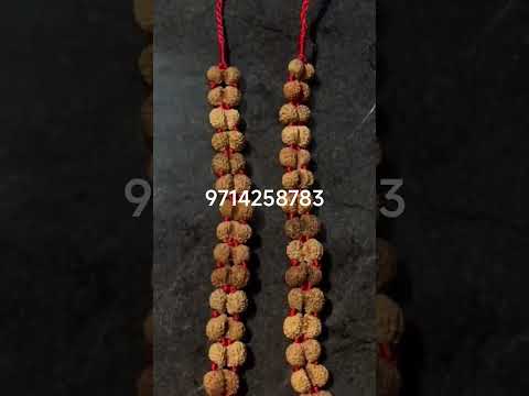 natural indonation gaurishankar kantha 55 dana#hindugod #shivashakti #antiqe