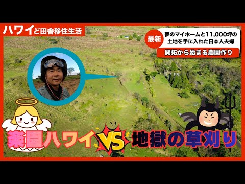 【夢のハワイ移住】念願のマイホームを手に入れたのに地獄の草刈り作業が終わらない。。