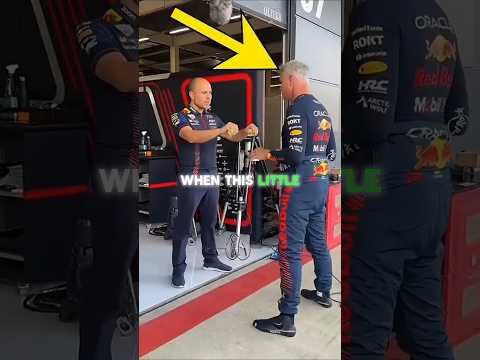 Wholesome Moment In RedBull Racing