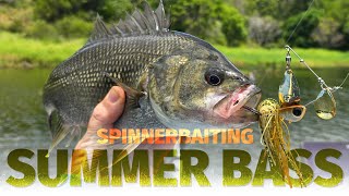 How to Catch Bass on Spinnerbaits - Schooled Fish and Flooded Grass - TT Vortex+ Spinnerbaits