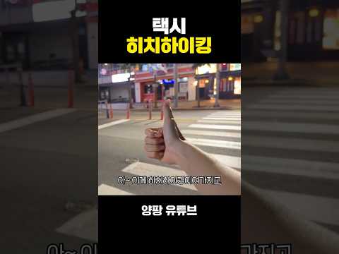 <strong>택시</strong> 히치하이킹