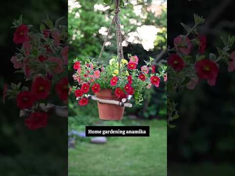 rope ideas 💡#shorts #diy #plants #garden #gardening  #trending #viralshort #shortsfeed