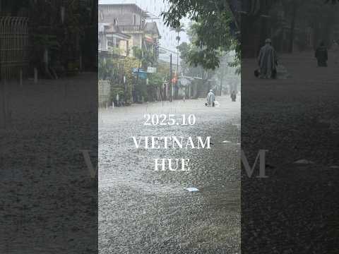 ベトナム・フエで洪水🇻🇳帰省中だったベトナム人編集者から届いた現地の様子　 #vietnam #shorts #hue #travel