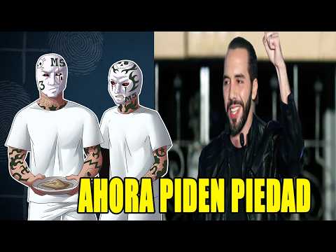 EL HOMBRE QUE PUSO A ROGAR POR COMIDA A LAS PANDILLAS MAS PELIGROSAS DEL MUNDO - CAP 462