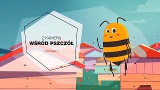 W drugim odcinku mini-serialu zrealizowanego przy wsparciu merytorycznym Zakładu Pszczelnictwa w Puł