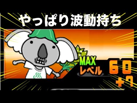 コイツは！？？