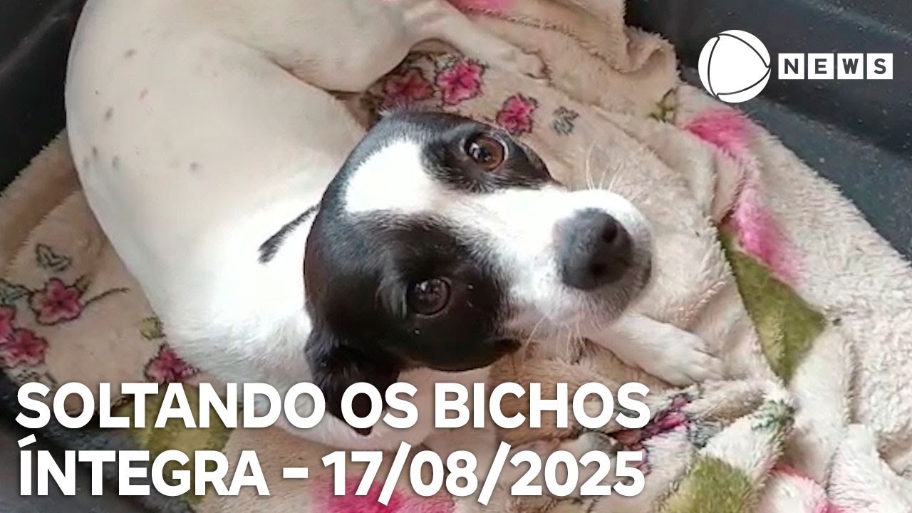 Soltando os Bichos   17082025
