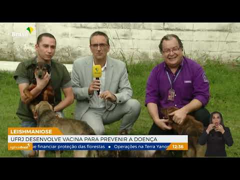 UFRJ desenvolve vacina para prevenir leishmaniose