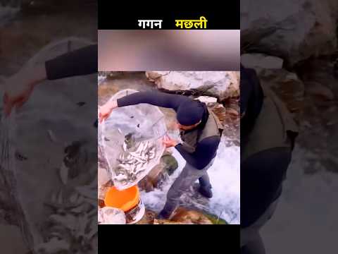 गगन मछली 😱 #aivideo #fishing #fascinatinginformation #amazingfacts #facts #youtubeshorts