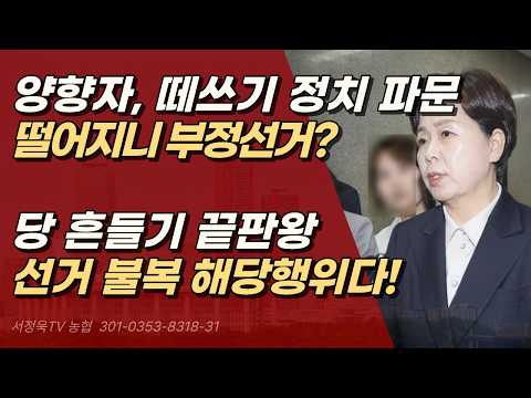 양향자의 선 넘은 정치적 자해, 정치적 욕심 때문에 당 망치나! | 서정욱TV