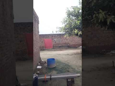 #motivation #youtubeshorts #viral #video #trending #gymworkout #workout #1millionviews ##please #gym