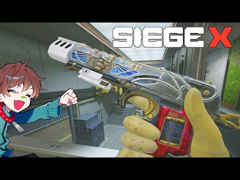 配信中に魅せた綺麗な音ハメ１TAP【レインボーシックスシージX】【R6S】