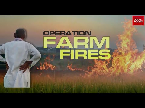 Farmers Game System to Avoid Farm Fire Detection | India Today Special Investigation