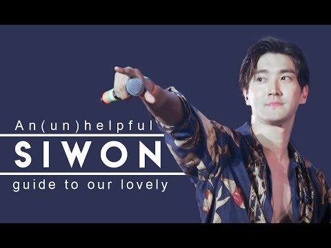 An (un)helpful guide to Choi Siwon