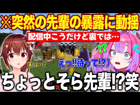 コラボ中そら先輩に突然配信外の裏の顔を暴露され焦り散らかす綺々羅々ヴィヴィ【ホロライブ/ホロライブ切り抜き】