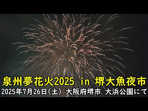 泉州夢花火2025 in 堺大魚夜市 (花火大会の模様)