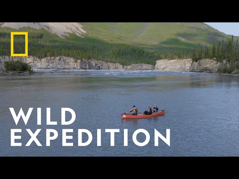 Fiennes Return to the Wild'