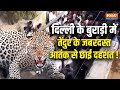 Delhi:  Burari में छाई Leopard की जबरदस्त दहशत, लोगों के घरों में घुस कर किया हमला| Leopard Attack
