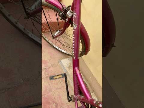 BSA cycles Ladybird Hazel Road Bike / Bicycle (Wheel 26 Inch , Frame 19 In) off grid life #life