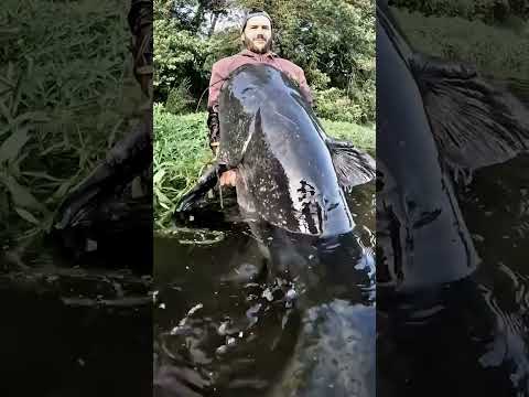 AZ#Facts#super#viral #video