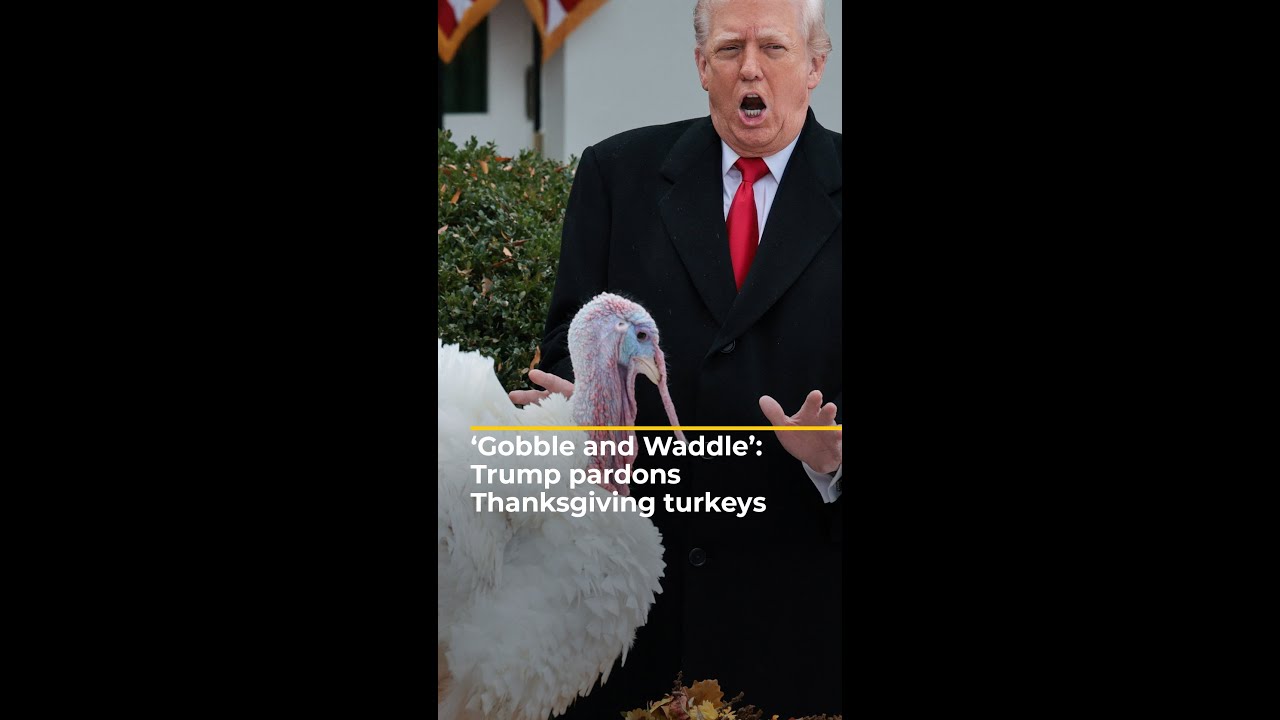‘Gobble and Waddle’: Trump pardons Thanksgiving turkeys, blasts Democrats | ajshorts