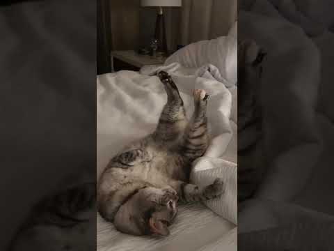 I’m so comfy