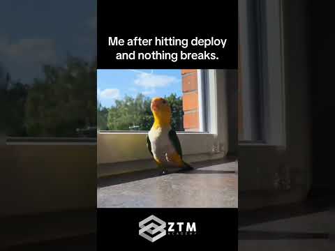 Me After Deploying Without a Single Error