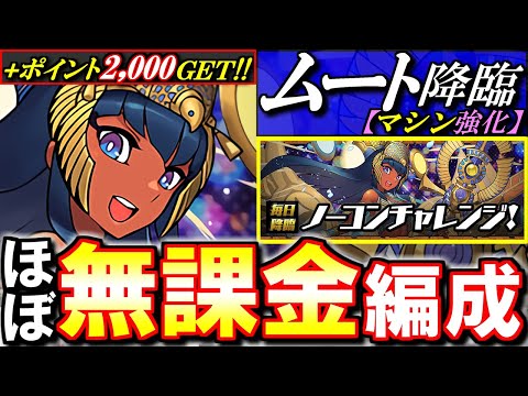 【ほぼ非ガチャ限のみ】ムート降臨 ずらしのみ シヴァドラお手軽編成を紹介!!+ポイントを回収しよう!!～ノーコンチャレンジ～【パズドラ】