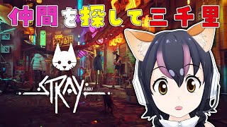 【Stray】猫になってヒトのくにを大冒険！【#フンボルトペンギンちゃんねる／#けもV】