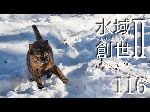 暖冬の年末ビオトープ　水域創世Ⅱ- 116【4K】