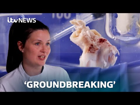 Search for Alzheimer's cure with 'revolutionary' research on live brain tissue | ITV News