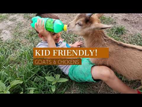 Vidéo de l’hébergement