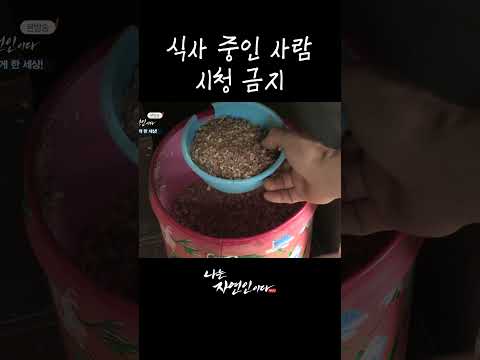 식사 중인 사람 <strong>시청</strong> 금지 #shorts