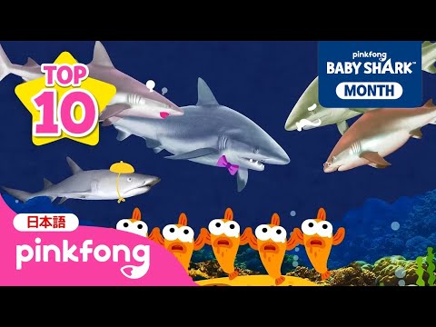 【TOP10】ベイビーシャーク🦈再生数TOP10まとめ💙 | Shark Month | Baby Shark✨10周年記念 | サメのかぞく、ゆびあそび 他 | ベイビーシャークとピンキッツ