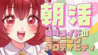 猫耳メイドのモーニングアクティビティ（26/03/23）