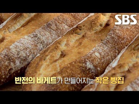 세 가지 밀가루×<strong>천연</strong> 발효종 사용해서 구수한 풍미가 일품인 달인의 숙성 바게트★ (ft. 폴딩 작업)