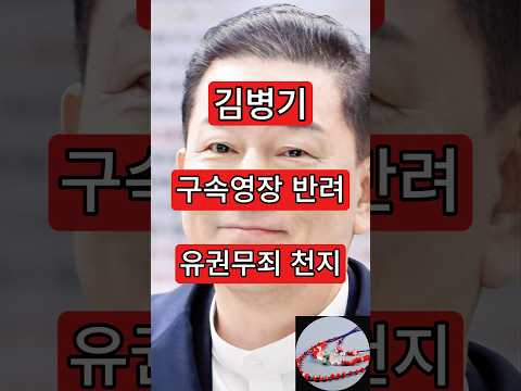 김병기 <strong>구속영장</strong> 반려, 좌파 유권무죄