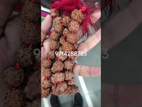 #hindugod #shivashakti