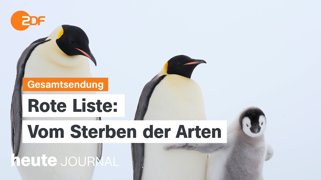 heute journal vom 09.04.2026 Iran-Waffenruhe, Energiekrise in Pakistan, Kaiserpinguine in Gefahr